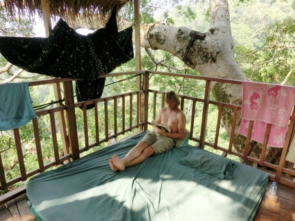 gibbon (46)